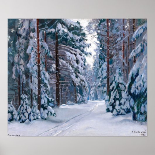 Ein schneesicherer Weg im Wald Poster (Vorne)