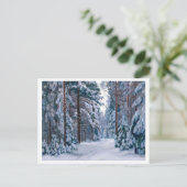 Ein schneesicherer Weg im Wald Postkarte (Stehend Vorderseite)