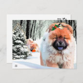 Ein SCHNEETAG Chow Urlaub Postkarte (Vorne/Hinten)