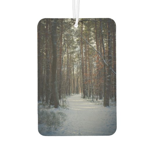 Ein Schneeweg im Kiefernwald Autolufterfrischer (Rückseite)