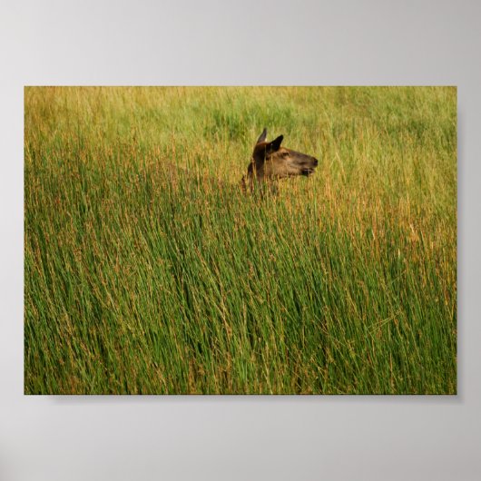 Ein schneller Blick Poster (Vorne)