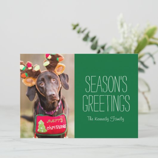 Ein Schokoladenhund (Stehend Vorderseite)