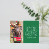 Ein Schokoladenhund Postkarte (Stehend Vorderseite)