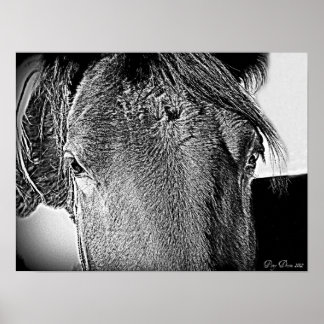 Ein schöner Anblick Poster