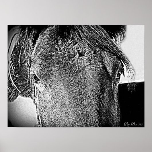 Ein schöner Anblick Poster (Vorne)