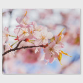 Ein schöner Haufen Sakura-Blume im rosa Hintergrun Geschenkpapier (Flach)