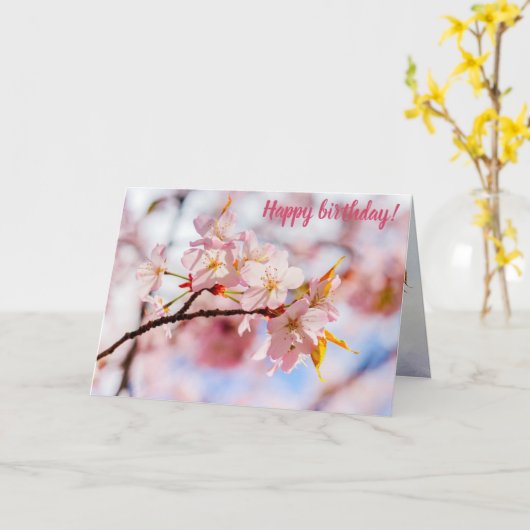 Ein schöner Haufen Sakura-Blume im rosa Hintergrun Karte (Gelbe Blume)