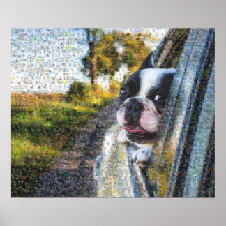 Ein schöner Hund, der aus dem Mosaik des Fensters  Poster