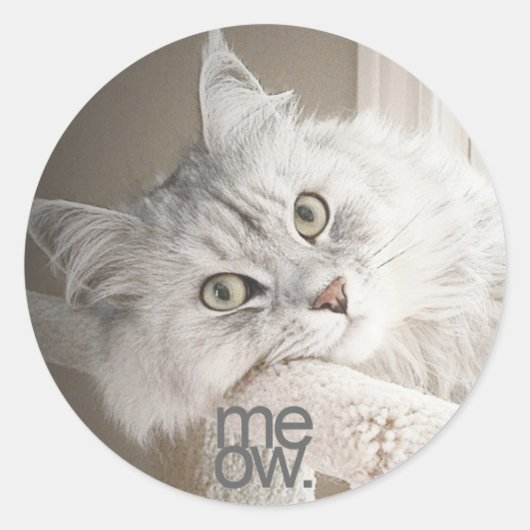 Ein schöner Meow Sticker (Vorderseite)