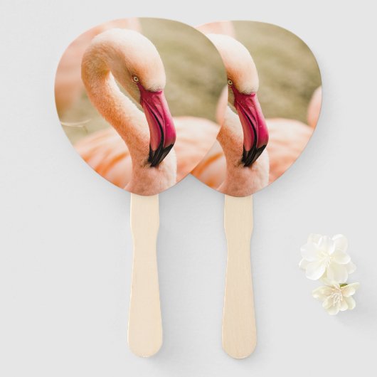 Ein schöner rosa Flamingo Fächer (Vorne und Hinten)