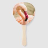 Ein schöner rosa Flamingo Fächer (Vorderseite)