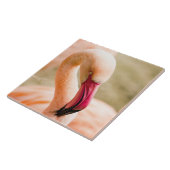 Ein schöner rosa Flamingo Fliese (Seite)