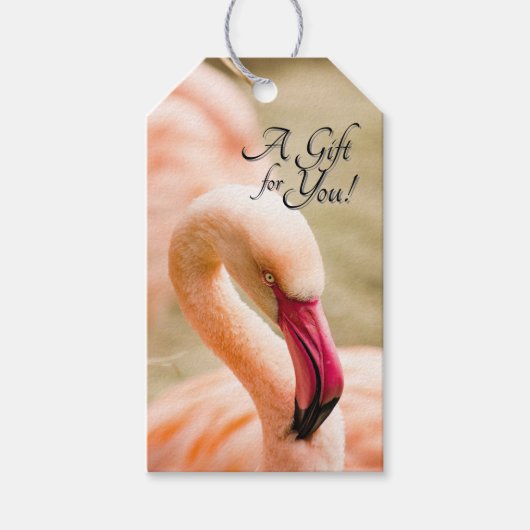 Ein schöner rosa Flamingo Geschenkanhänger (Vorderseite)