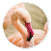 Ein schöner rosa Flamingo Keramikknauf (Vorderseite)