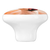 Ein schöner rosa Flamingo Keramikknauf (Seitenansicht)
