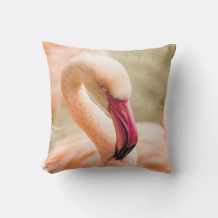 Ein schöner rosa Flamingo Kissen