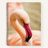 Ein schöner rosa Flamingo Notizblock (Vorderseite)