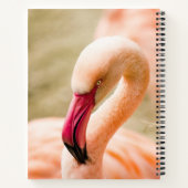 Ein schöner rosa Flamingo Notizblock (Rückseite)