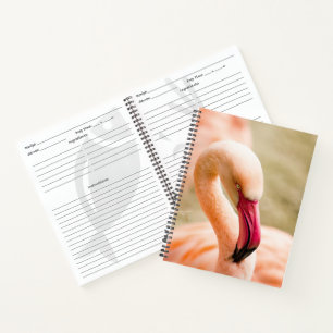 Ein schöner rosa Flamingo Notizblock