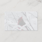 Ein schöner roter Kardinal in den Büschen umfaßte Visitenkarte (Rückseite)