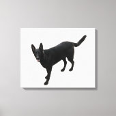 Ein schöner, schwarzer Schäfer Leinwanddruck (Vorderseite)