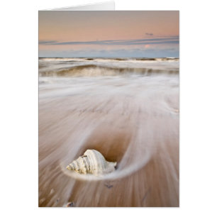 Ein schöner Strand   Costa Blanca, Spanien
