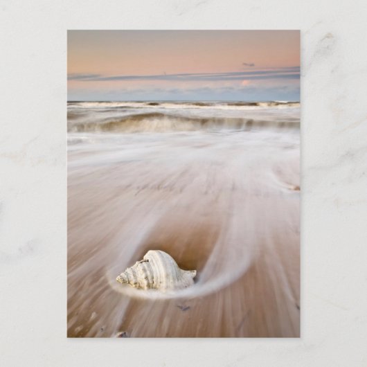 Ein schöner Strand | Costa Blanca, Spanien Postkarte (Vorderseite)