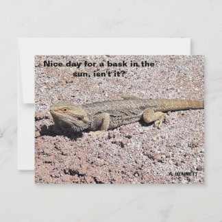 Ein schöner Tag für einen sonnigen Tag Postkarte
