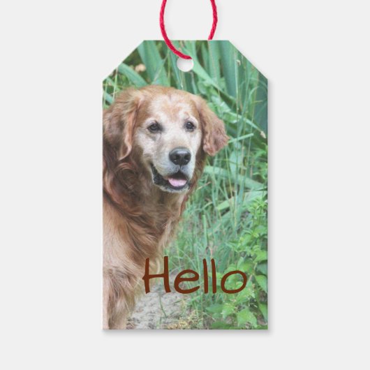 Ein schöner Tag Geschenkanhänger (Vorderseite)