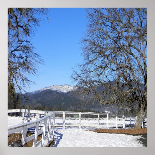 Ein schöner Tag im Winter...... Poster (Vorne)