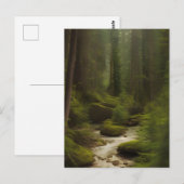 Ein schöner Waldstrom Postkarte (Vorne/Hinten)