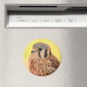 Ein schönes amerikanisches Kestrel Magnet (In Situ (Geschirrspüler))