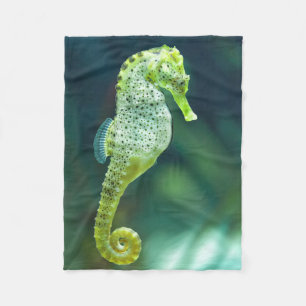 Ein schönes Knysna Seepferd Fleecedecke