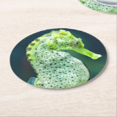 Ein schönes Knysna Seepferd Runder Pappuntersetzer (Angewinkelt)