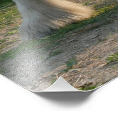 Ein schönes Mädchen in weißem Kleid Fotodruck (Ecke)