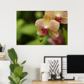 Ein schönes Paar Poster (Heimbüro)