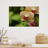 Ein schönes Paar Poster (Küche)