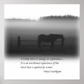 Ein schönes Pferdeposter Poster (Vorne)