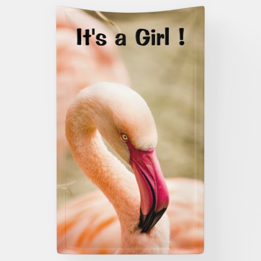 Ein schönes rosa Flamingo Das Mädchen Banner (Vertikal)
