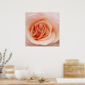 ein schönes rosa Rosenposter Poster (Küche)
