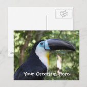 Ein schönes toskanisches Foto Postkarte (Vorne/Hinten)