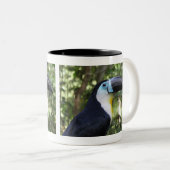 Ein schönes Toucan Foto Zweifarbige Tasse (VorderseiteRechts)