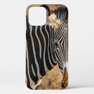 EIN SCHÖNES ZEBRA IN SAMBURU NATIONALE RESERVE Case-Mate iPhone HÜLLE