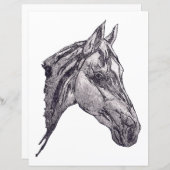 Ein Schönheitspapier für Pferde (Vorne/Hinten)