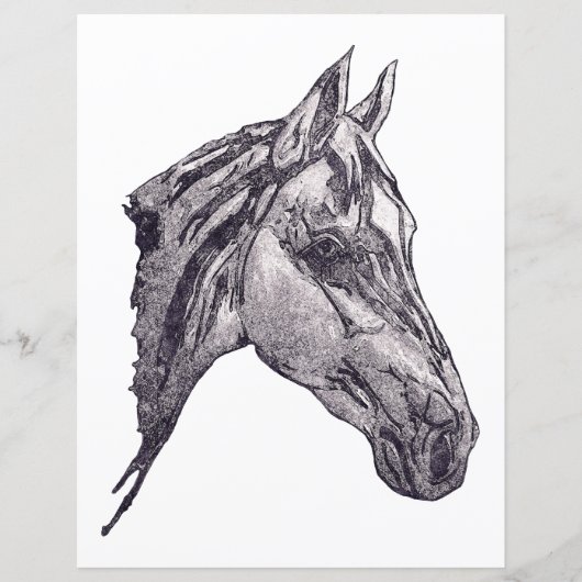 Ein Schönheitspapier für Pferde (Vorderseite)