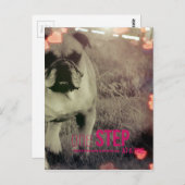 Ein Schritt nach dem anderen, Bulldog Postkarte (Vorne/Hinten)