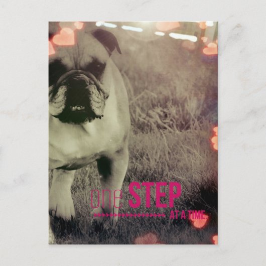 Ein Schritt nach dem anderen, Bulldog Postkarte (Vorderseite)