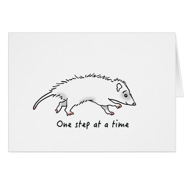 Ein Schritt-Opossum (Vorderseite (Horizontal))