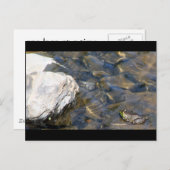 Ein Schritt Postkarte (Vorne/Hinten)