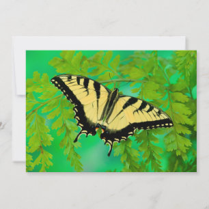 Ein Schwalbenschwanz Schmetterling landet Dankeskarte
